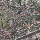 도촌종합사회복지관 경로식당 이미지