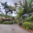 박터진 흥부네 이미지