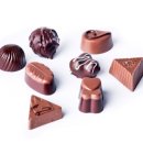 애니펫동물병원 이미지