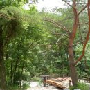 소금강모텔 이미지