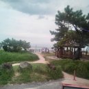 뉴힐링캠프 이미지