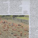 우리의 밥상