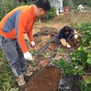 용성농장 이미지