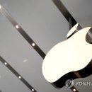 애플아일랜드 이미지