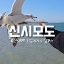 박주기 | 신시모도 당일치기 여행코스 인천 섬여행