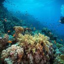 명문카센타 이미지