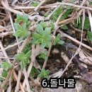 들풀 Daum카페