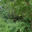 섬강공인중개사사무소 이미지