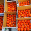 수골 농장 이미지