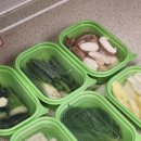 탑그린 | 그린롤백처럼 오래 보관 가능한 냉장고정리템 탑그린백 세트 사용후기