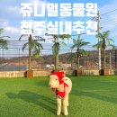 기린어린이집(신) | 청주 실내동물원 <쥬니멀> 솔직후기와 1월1일 오픈정보 알려드려요