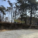 논산가보자순대국밥 네이버블로그