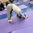 딩동댕어린이집 이미지