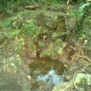 내천농장 이미지