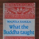 월폴라 라훌라 스님의 《부처님의 가르침》What the Buddha Taught을 펼치며 — 거울에서 설계도로, 그리고 바다로. 1 이미지