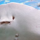 호남로 64번길 이미지