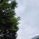 비치조은펜션 이미지