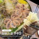 서울 경기도 알배기 알 쭈꾸미 샤브 '우리수산' 쌀알 가득 +먹물 튐 주의사항 &amp; 가격 정보