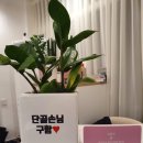 카일리헤어샵 이미지