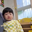 큰바다어린이집 | 생후 18개월 껌딱지 아들의 어린이집 2주차 첫 낮잠 적응 과정과 재접근기 극복 노하우