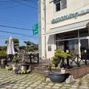 낙엽커피숍