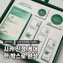 글로벌어스 | 애즈어스 AS:US 시카 프리미엄 시딩박스 후기｜진정 루틴 6종 한 박스에