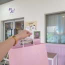 세종소품샵 나성동「세이하이스튜디오」를 털어온 덕후의 방문후기