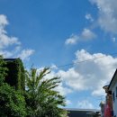 대화사과나무치과의원 이미지