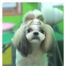 라미살롱 이미지