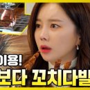 아미피아 이미지