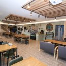 대구애견 이미지