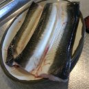 살집 | [의왕 맛집] 백운호수 '황토장어' - 두툼한 살집에 반한 역대급 장어구이 리얼 후기 (주차/웨이팅 팁)