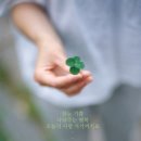 행운 이미지