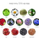 (주)베이비프리즘 이미지