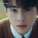 사랑스럽개 이미지