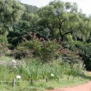 도봉-도봉-서울도봉-2292 이미지