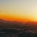 숲속노을로(1) 이미지