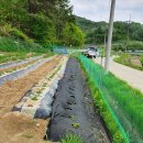 아성2농장 이미지