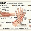 웹소설: TNTs 지지 힐링 이미지