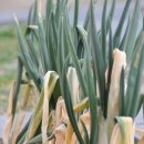 내동네공유주거 이미지