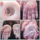 (어울림) 어성초+ 붉나무+녹두+ 자운고+ 칼라민+비누+덤 2+2 받아가세요 이미지