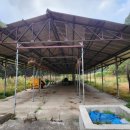 지안축사 이미지