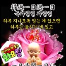 일일선
