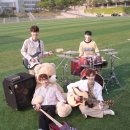 허니스트
