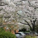 토곡경로당 이미지