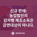 하온회계법인 이미지