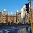 주정차73 이미지