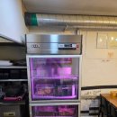 옛날산골통닭 | 경기도 가평 설악_닭사장(구:산골옛날통닭) 닭강정 포장후기