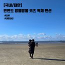 방울방울키즈펜션 이미지