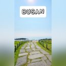 차성서로31 이미지